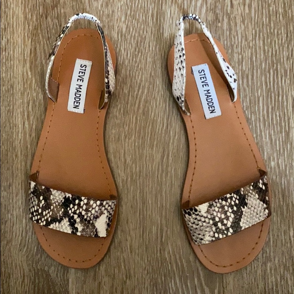 Steve Madden
